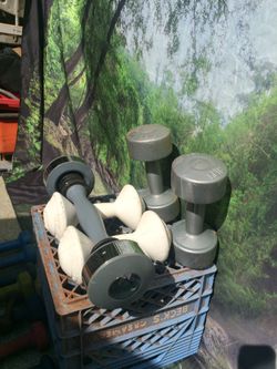 5 --pic dumbbell/5-5-5-3.3-3.3=16.6 lb