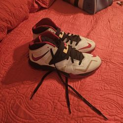 Lebrons Size 9