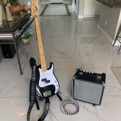 Amazing Bass Rig!  USA Made Peavey Fury