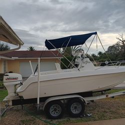 19' Wellcraft