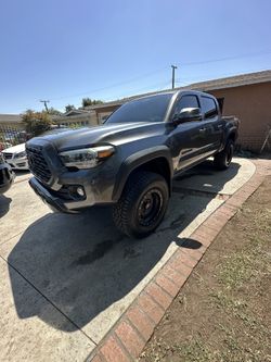 Tint For Sale