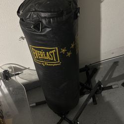 Everlast Punching Bag (about 50-70lbs) 