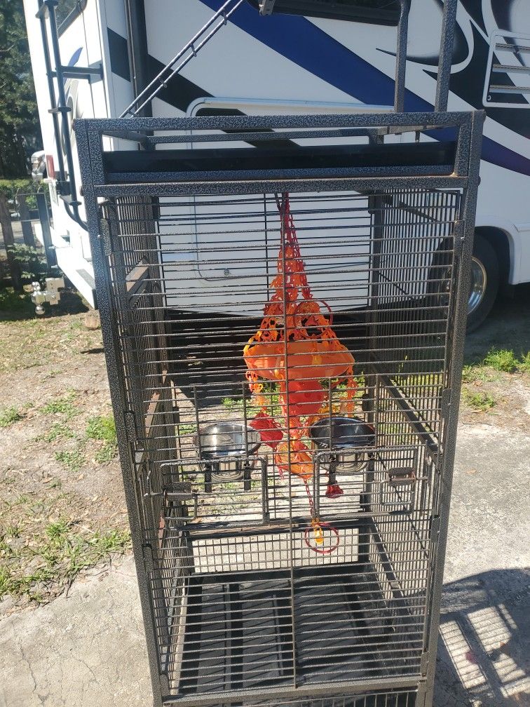 Bird Cage