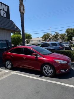 Tint for sale