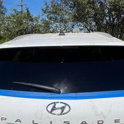 New Windows and Windshields