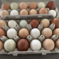 Farm Fresh Eggs