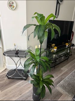 Pretty artificial plant 5 ft tall