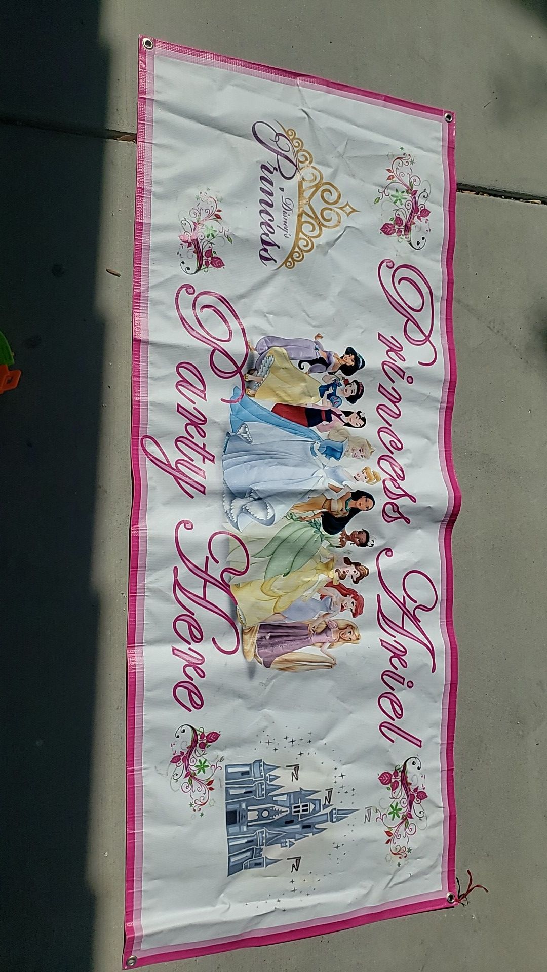 Princess party banner