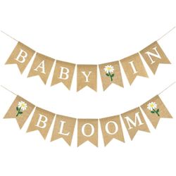 Girl Baby shower Decorations 