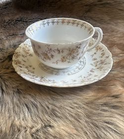 Tea Cup