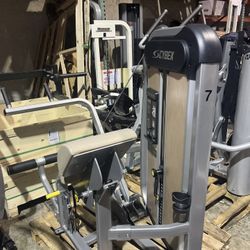 Cybex Eagle Back Extension