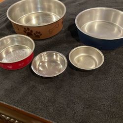 Dog Bowls 