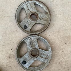 25lb Olympic Weight Plate Set
