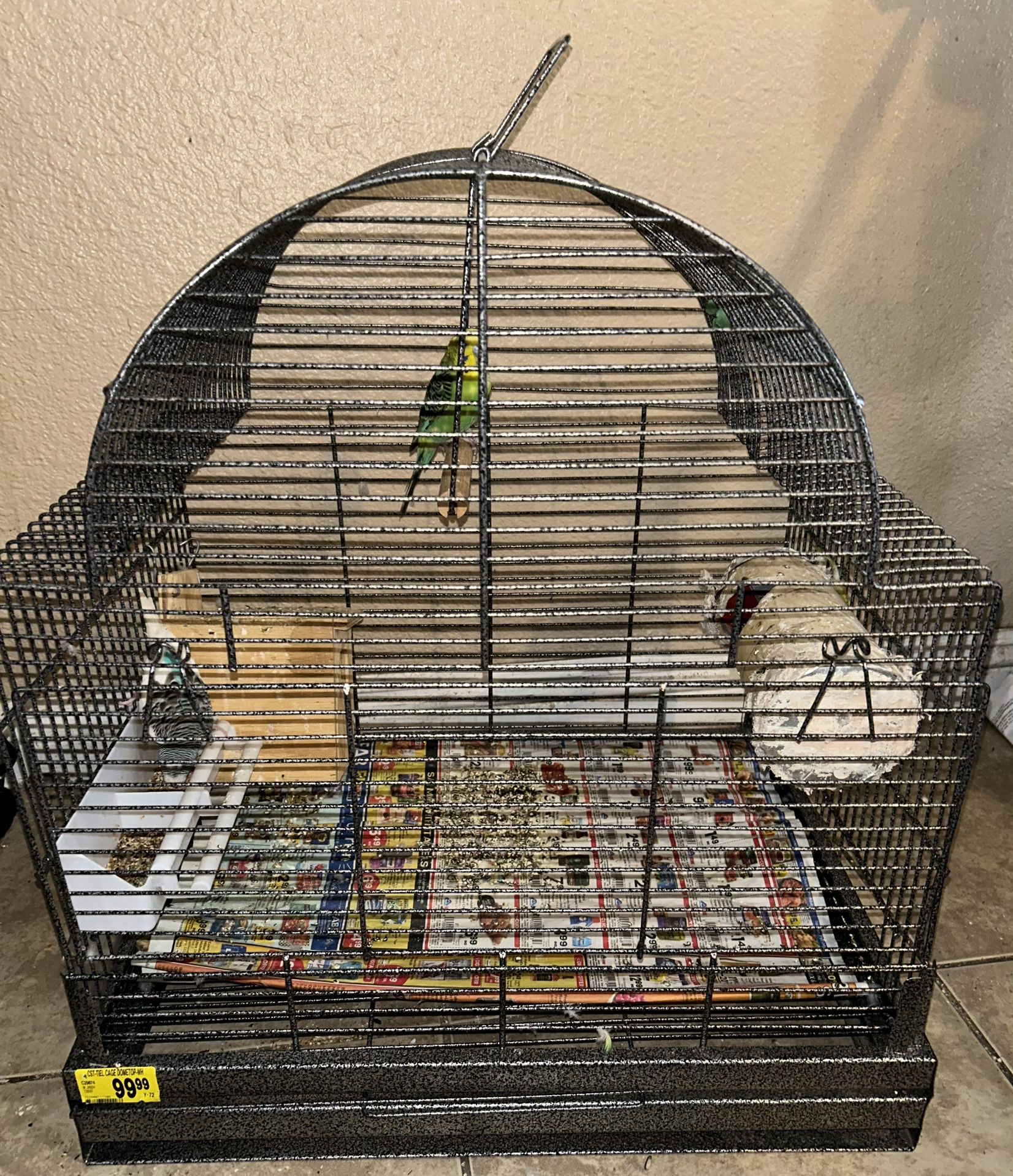 Bird Cage