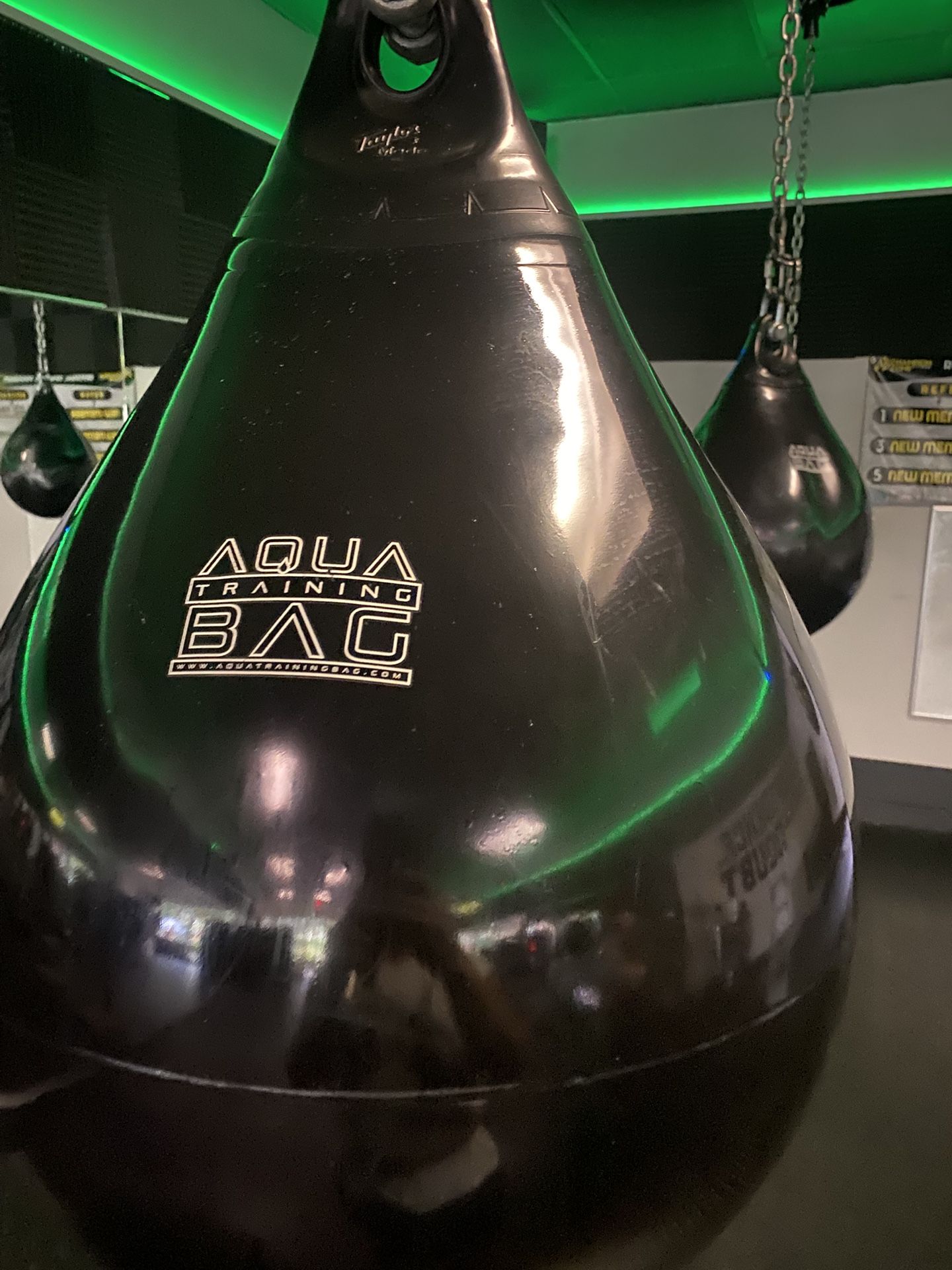 Aqua Punching Bags $100