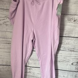 NWT Wild Fable Lavender jogger sweatpants size 4x