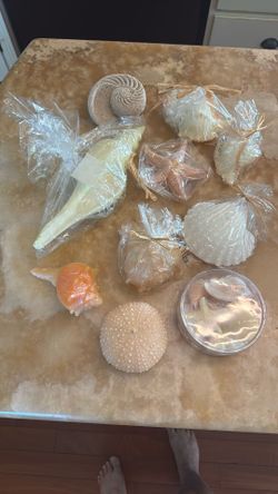 Beach Seashell Candles Party Decor Tropical Hawaiian Decorations New Table Centerpiece Set