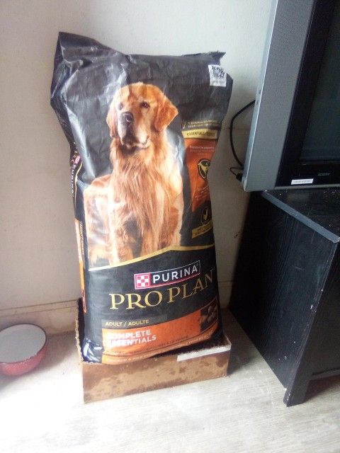 Dog Food