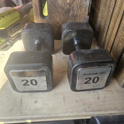 Dumbbell 20 Lbs 
