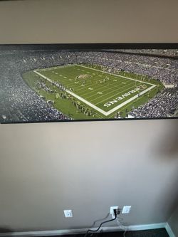 Ravens Stadium Wall Art 