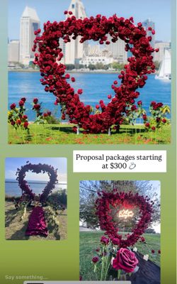 Proposal heart set up