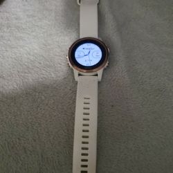 Garmin Fenix 5s Sapphire 