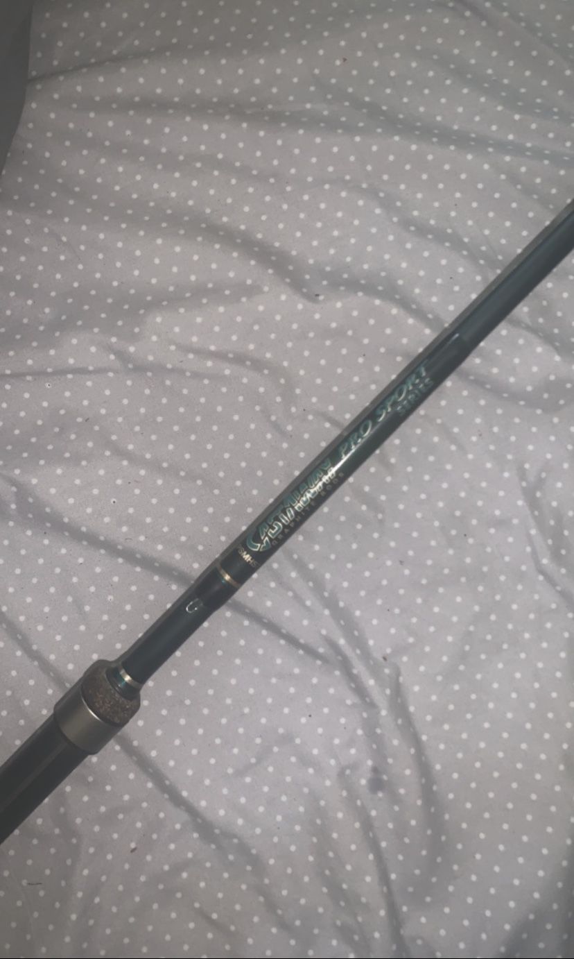 Castaway custom fishing rod