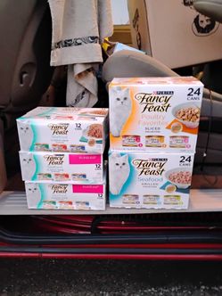 Cat food