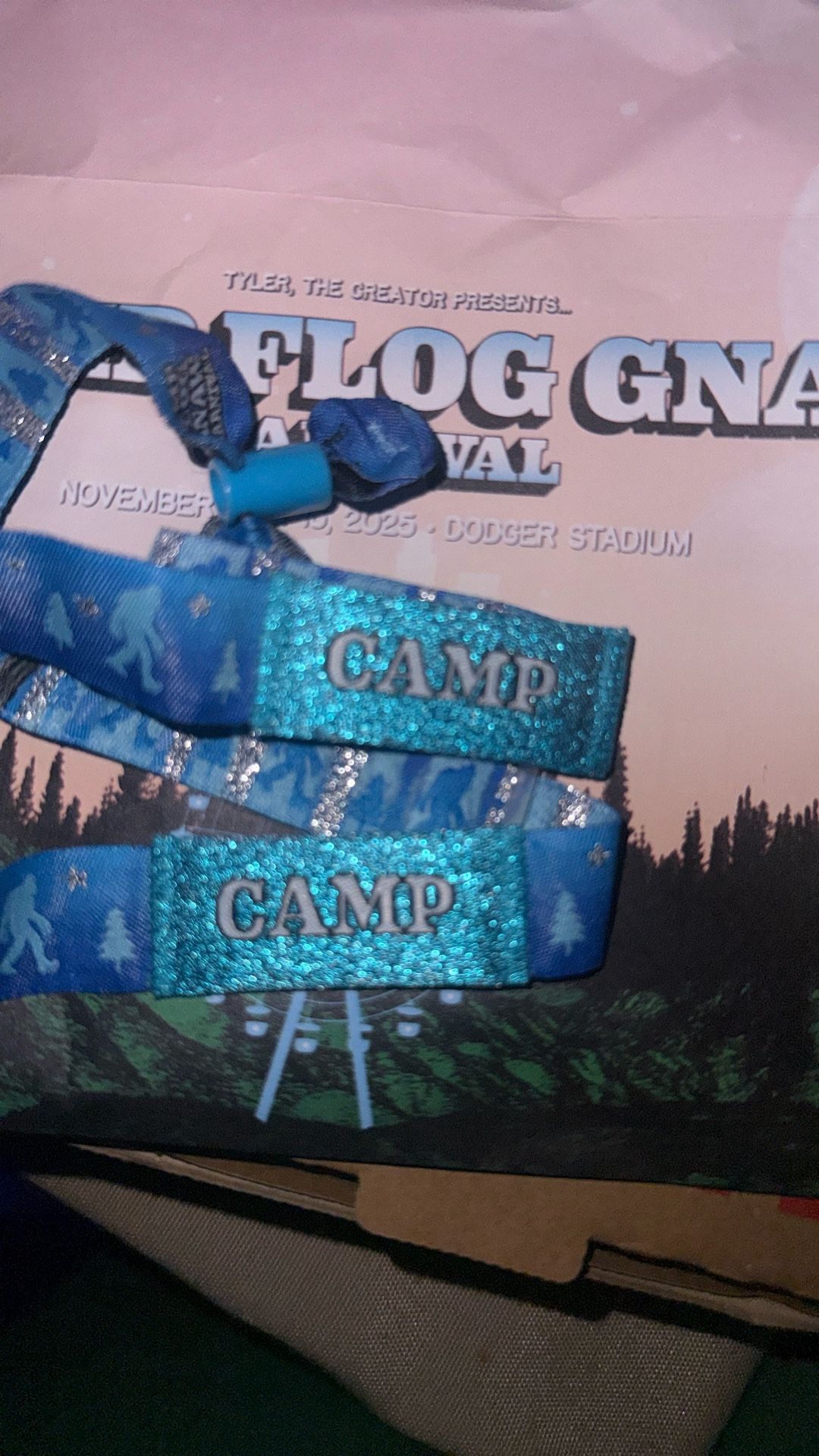 2 Camp Flog Gnaw Tickets, Also Have A Parking Pass