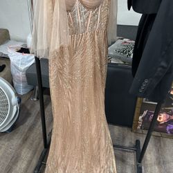 Rose Gold Dress 