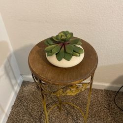 Succulent Artificial Plant 