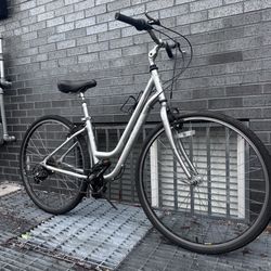 Trek Hybrid Road Bike 