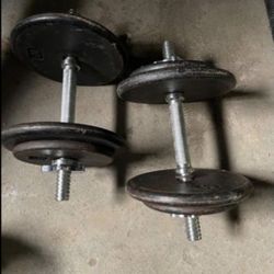 dumbbells 35 lbs Each