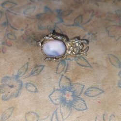 Stone Beetle Clothes Pin