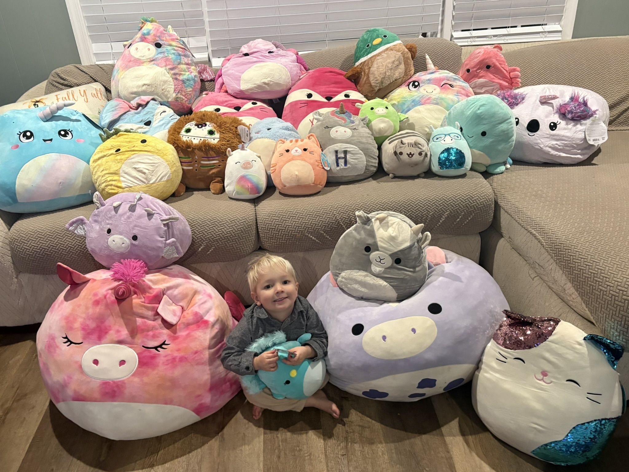 Squishmallow Collection