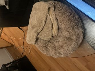 Cat Or Dog Bed (it comes with the blanket)