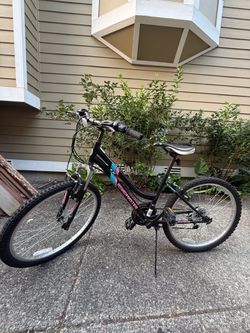 20 inch Bicycle