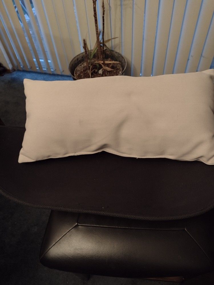 Cat Bed $2 New. Cash Porch Pickup Redmond