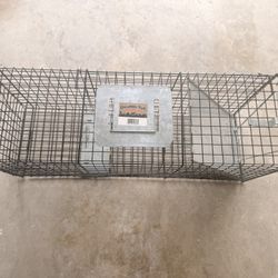 Raccoon Trap