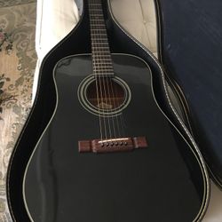 Washburn Guitar 