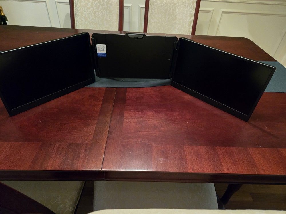 Sani 14" Dual Screen Extender