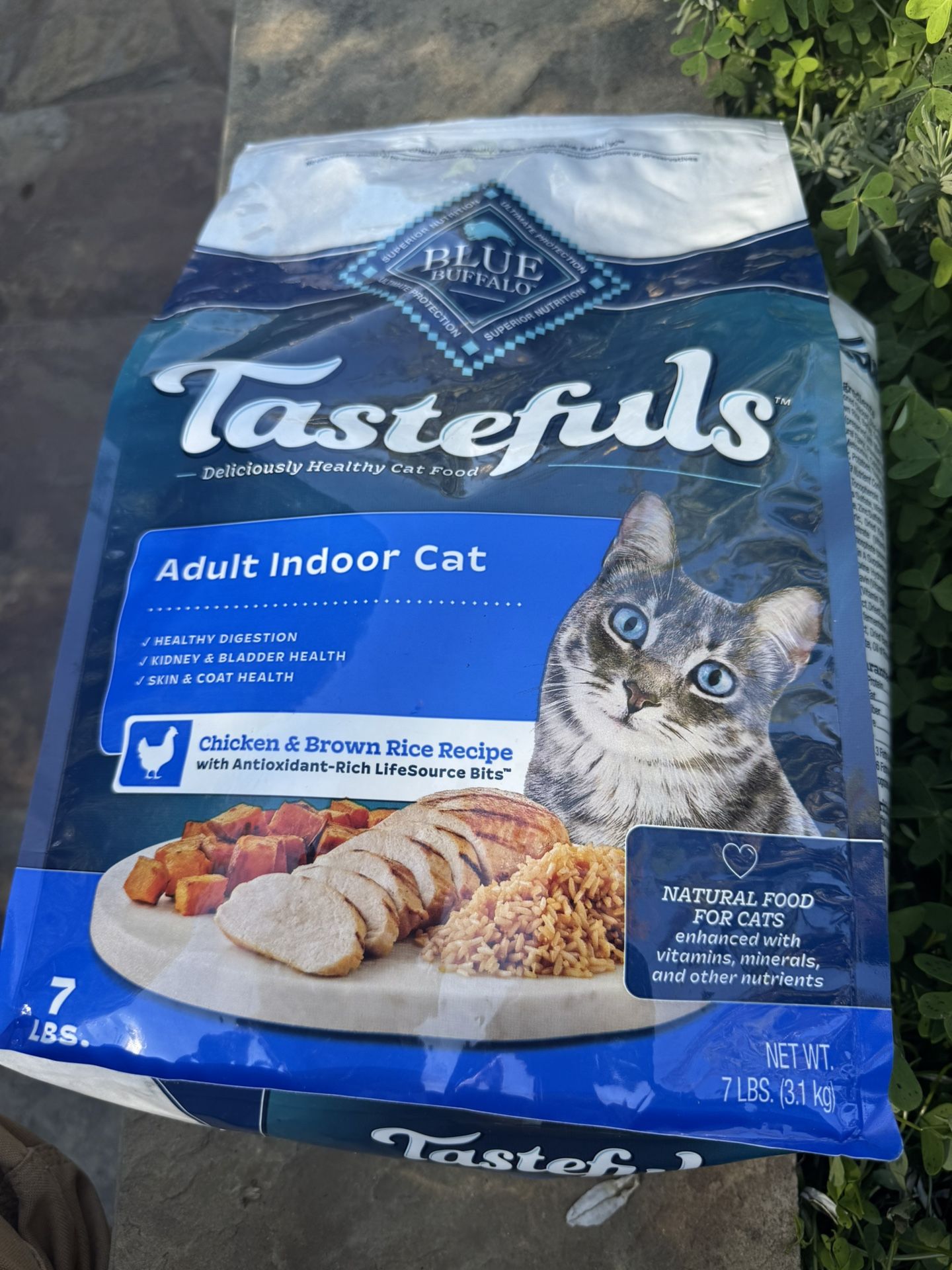 Blue Buffalo Cat Food