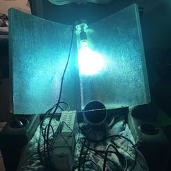 Hydro farm Grow Light
