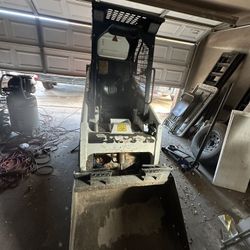 Bobcat For Sale
