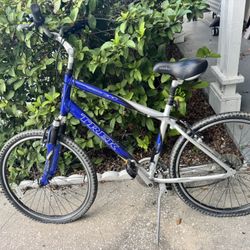 Trek & Cruiser 