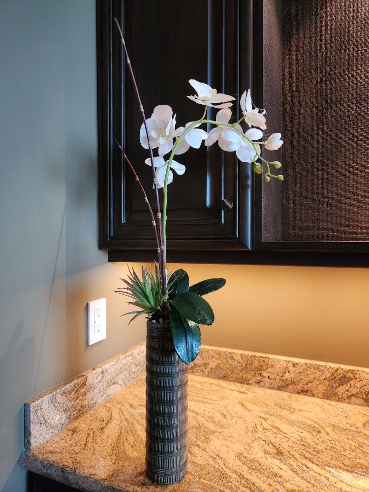 Orchid in Vase