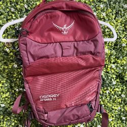 Osprey Backpack 