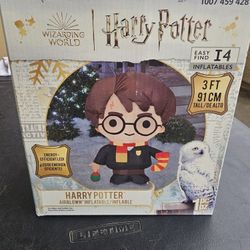 Harry Potter Inflatable 