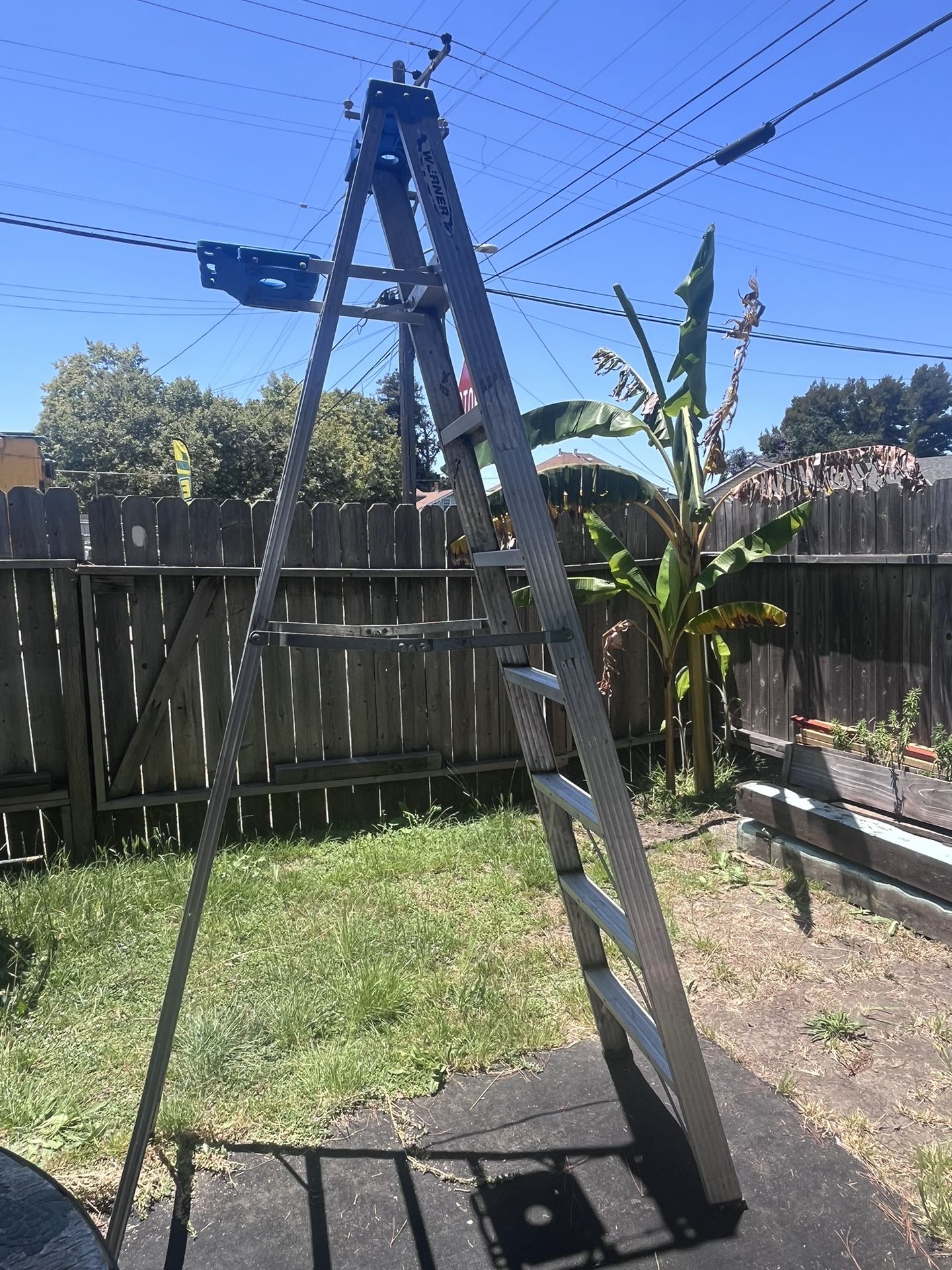 8 Ft Ladder 