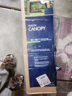 Canopy Outdoor 